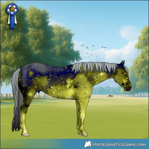 Horse Color:ERROR: UNKNOWN ANOMALY