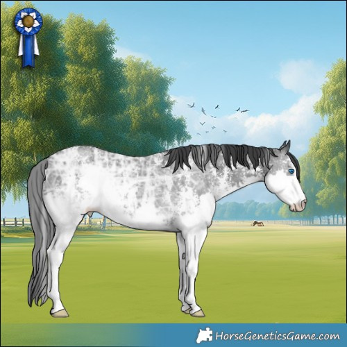 Horse Color:Black Ice Sabino Splash