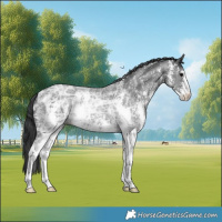 Horse Color:Black Ice Sabino