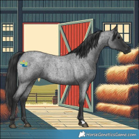 Horse Color:Blue Roan 