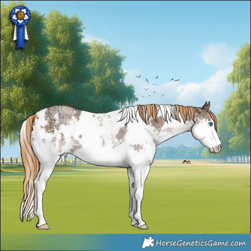 Horse Color:White Spotted Chestnut Ice Pearl Sabino Splash 