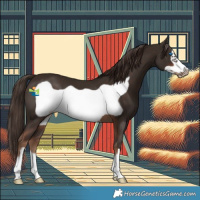 Horse Color:Liver Chestnut Frame 