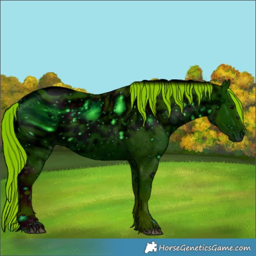 Horse Color:ERROR: UNKNOWN ANOMALY