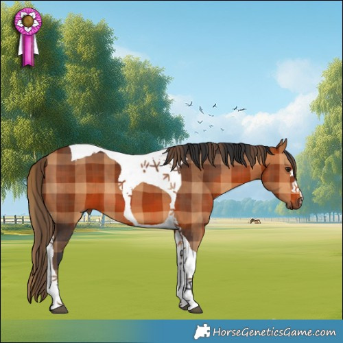 Horse Color:Plaid  Bay Tobiano 