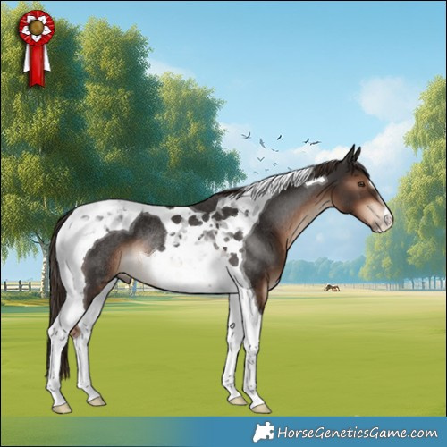 Horse Color:Liver Chestnut Tobiano Rabicano