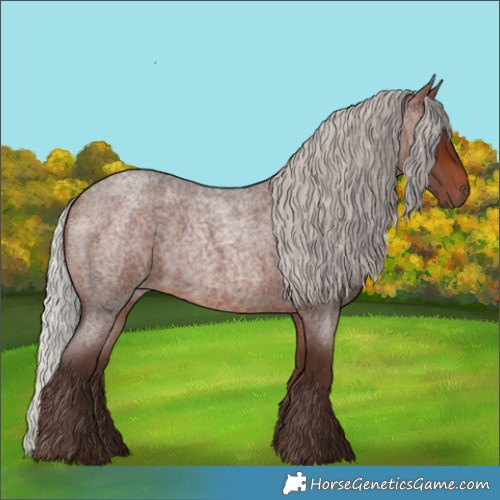 Horse Color:Silver Brown Roan 