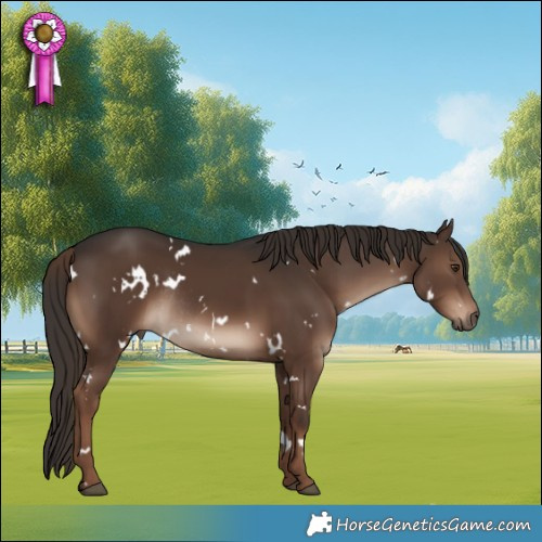 Horse Color:White Spotted Liver Chestnut Rabicano 
