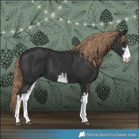 Horse Color:White Spotted Liver Chestnut 