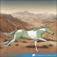 Horse Color:Watercolor Silver Brown Dun Tobiano
