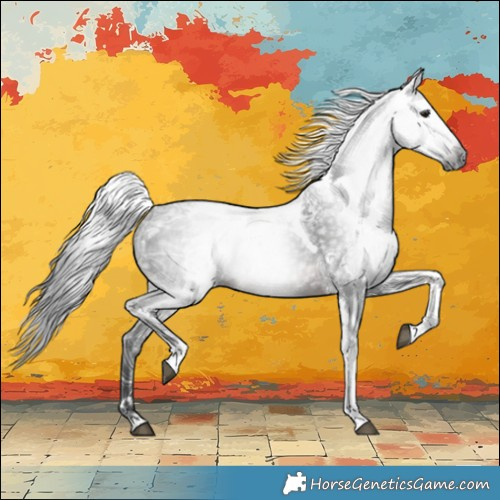 Horse Color:Gray Brown Ice Tobiano Rabicano 