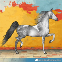 Horse Color:Gray Brown Ice Tobiano Rabicano 