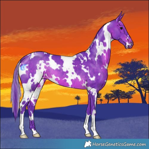 Horse Color:Watercolor White Spotted Brown 