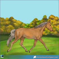 Horse Color:Palomino 