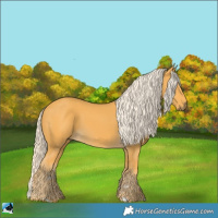 Horse Color:Palomino 