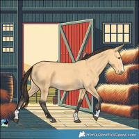 Horse Color:Buckskin