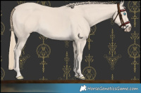 Horse Color:Smoky Creme 