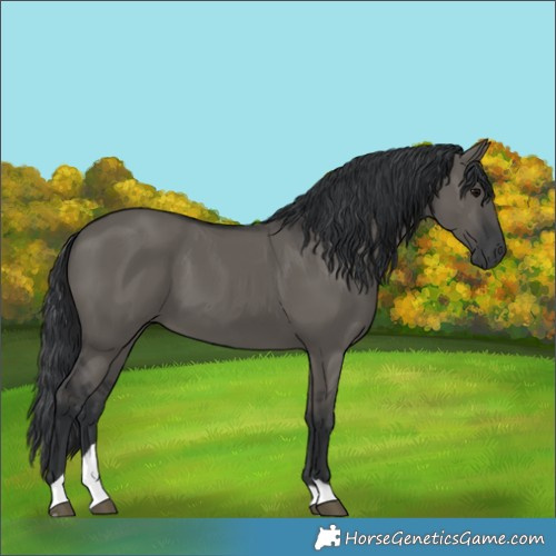 Horse Color:Grullo Tobiano 