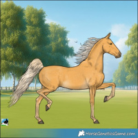 Horse Color:Palomino 