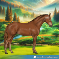 Horse Color:Gray Chestnut 