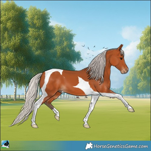 Horse Color:Silver Bay Tobiano 