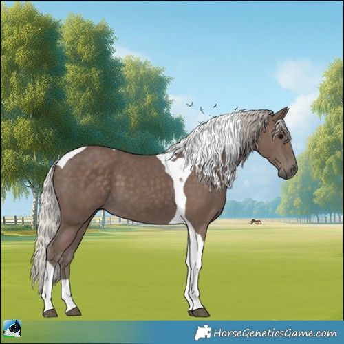 Horse Color:Silver Black Tobiano 