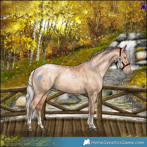 Horse Color:Powder White Silver Bay Pearl Dun Tobiano Rabicano Brindle  and Powder White Silver Bay Pearl Dun Tobiano Rabicano Brindle 