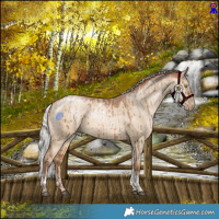 Horse Color:Powder White Silver Bay Pearl Dun Tobiano Rabicano Brindle  and Powder White Silver Bay Pearl Dun Tobiano Rabicano Brindle 