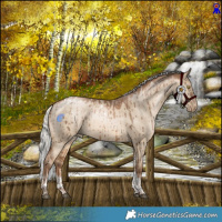 Horse Color:Powder White Silver Bay Pearl Dun Tobiano Rabicano Brindle  and Powder White Silver Bay Pearl Dun Tobiano Rabicano Brindle 