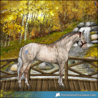 Horse Color:Powder White Silver Bay Pearl Dun Tobiano Rabicano Brindle  and Powder White Silver Bay Pearl Dun Tobiano Rabicano Brindle 