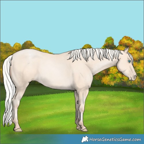 Horse Color:Silver Amber Cream Champagne Pearl 