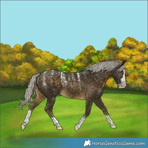 Horse Color:Powder White Silver Buckskin Splash Rabicano 