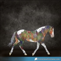 Horse Color:Powder White Nacre Silver Buckskin Splash Tobiano Rabicano 