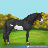 Horse Color:Black Frame 