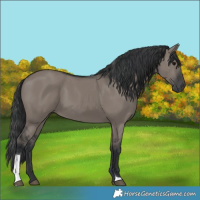 Horse Color:Grullo Tobiano 