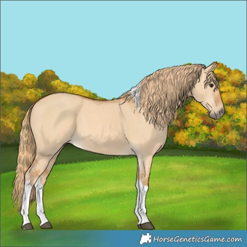 Horse Color:Red Dun Tobiano 