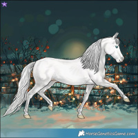 Horse Color:Cremello Dun 