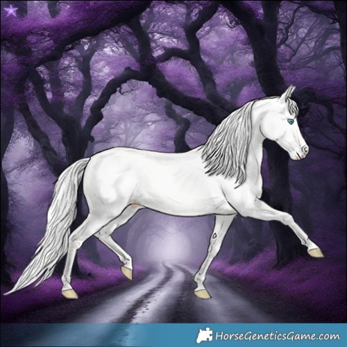 Horse Color:Cremello Dun