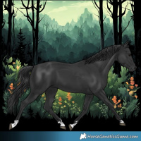 Horse Color:Black 