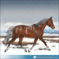Horse Color:Powder White Silver Brown