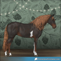 Horse Color:Liver Chestnut Tobiano 