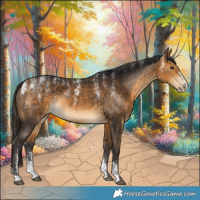 Horse Color:Powder White Buckskin 