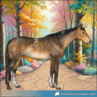 Horse Color:Powder White Buckskin 