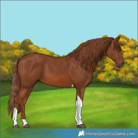 Horse Color:Chestnut Tobiano 