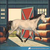 Horse Color:Buckskin 