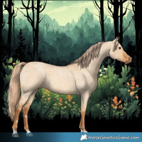 Horse Color:Red Dun Roan 