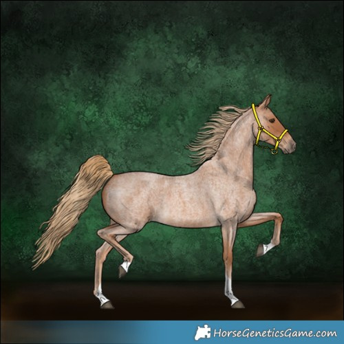 Horse Color:Red Roan Tobiano 