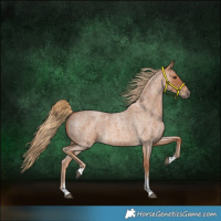 Horse Color:Red Roan Tobiano