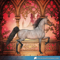 Horse Color:Bay Roan 