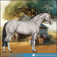 Horse Color:White Spotted Brown Roan Dun 