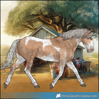 Horse Color:White Spotted Silver Bay Dun Tobiano Frame 